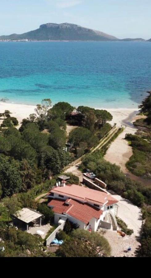 גולפו אראנצ'י Villa Aranzos מראה חיצוני תמונה